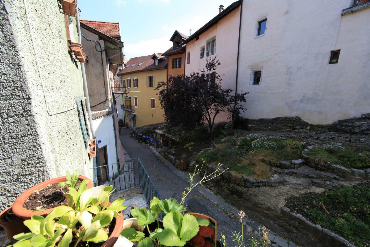 Appartement Homebuddy' - Le Petit Paradis *